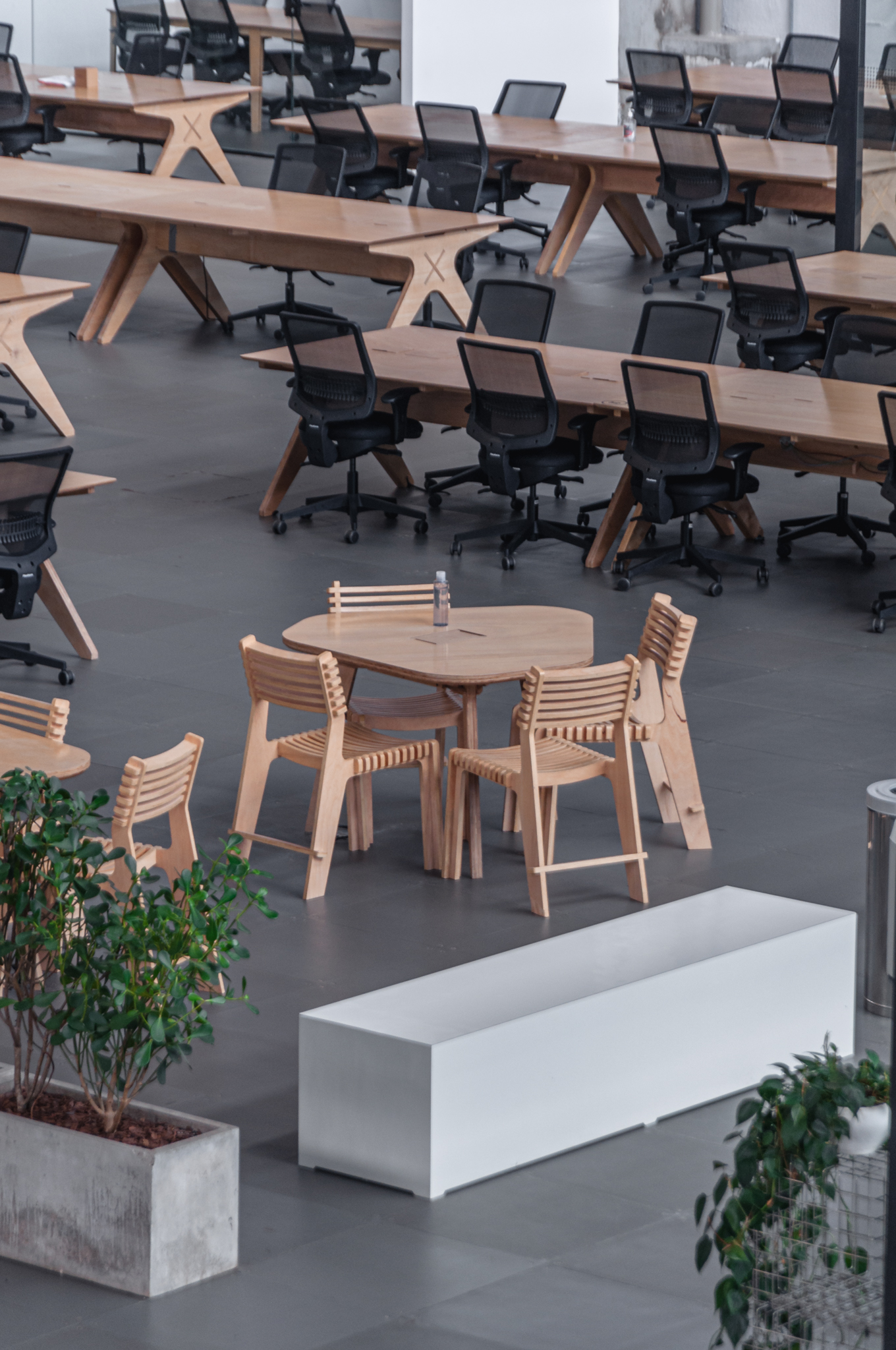 Silla Valoví - Image 4